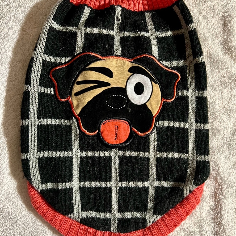 Pug Dog Swester